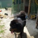 짱오농장 이미지