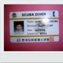 돌핀잠수교실 이미지