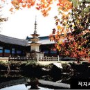 직지민박 이미지