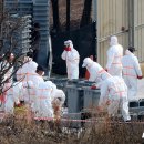 조태형농장 이미지