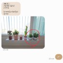 샤론꽃화원 이미지