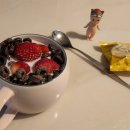 별사랑동물병원 이미지