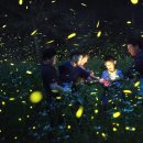 무주예체문화관 1층 이미지