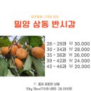 밀양반시