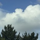 시민생활체육관 탁구장 이미지