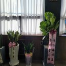 비채미장원