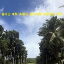 후니골프 이미지