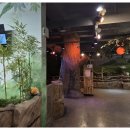 금강팬시 | 🎃 [인천놀거리] 1300자 후기! 날씨 걱정 끝! 쥬벅스에서 아이랑 특별한 할로윈 체험하고 왔어요! 👻