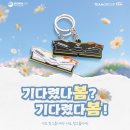 팀메모리