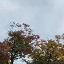 마포나루 이미지