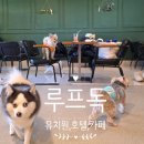 태릉입구역 3번출구 | 노원구 태릉입구역 애견 호텔 겸 카페 루프독 방문 후기