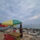 어달해변 이미지