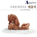 아쿠아테라 수족관 이미지