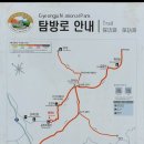 11/5(금요일) 경주 단석산 벙개산행 이미지