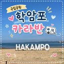 이마트24 태안학암포점 | 태안 카라반 추천, 학암포 오토캠핑장 두 번째 찾은 이유 (시설,예약,가격,준비물 총정리)