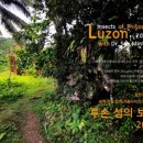 보석타운 - 북구 검단로 23 | 보석타운