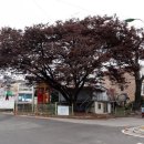 자명어린이공원 이미지