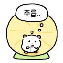 댕냥이키친 이미지