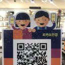 피카소안경콘택트 이미지