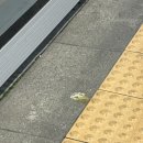 민´s 쭈꾸미 | 어떻게든 되겠지 뭐