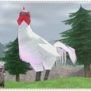 마당나온수탉 이미지