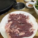 배부른생오리 이미지