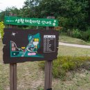 오가낭뜰 족구장 이미지