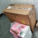 쌍둥이하우스 | 내돈내산 쌍둥이 유모차 추천 비교 가격 및 뻬그뻬레고 북포투 후기 장단점