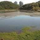 태화낚시 이미지