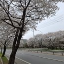 GS25 남양주사능점 | [경기 남양주] 사릉 - 단종의 복위로 능으로 승격된 정순왕후 능, 정치적 흔적을 찾아서