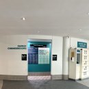 아이올림픽 수영장 | 시드니 가족 물놀이 명소 추천 🌊 시드니 올림픽파크 수영장 (Sydney Olympic Park Aquatic Centre) 솔직...