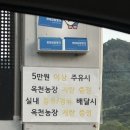 옥천농장 주유소 네이버블로그