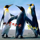 아름당 - 은평구 수색로 256 | 아름당