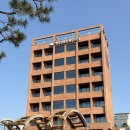 바다호텔 | 대천 오션뷰 호텔 추천, 하운드호텔 솔직후기 (바다 바로 앞)