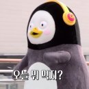 소백양샤브샤브전문점 이미지