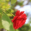 우장산동 이미지