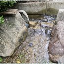 뮤즈 펜션 이미지