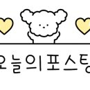 주인아 미용하고가 이미지