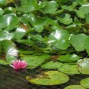 수선정사 이미지