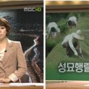 오피스올 이미지