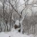 경기얼음