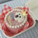 북마산가구시장 | [내돈내산] 창원 마산합포구 애견 수제간식&amp;케이크 &#34;댕냥이 점빵&#34; 후기