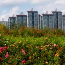 장자호수공원 이미지