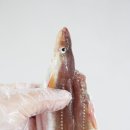 대창수산 이미지