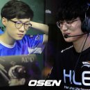 스프링애드 OSEN