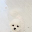 까미랑몽이