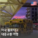 A41 | 올랜도 여행 교통 꿀팁 | 렌터카 없이 LYNX 앱으로 저렴하게 이동하는 방법