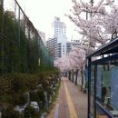 교리초등학교 앞 이미지