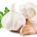 닥터모락(부천상동점) 이미지