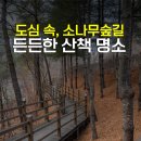 엄사근린공원 네이버블로그